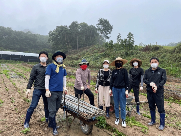 김기창 도의원이 8일 금왕읍 고추 농가에서 생산적 일손봉사활동을 벌였다.